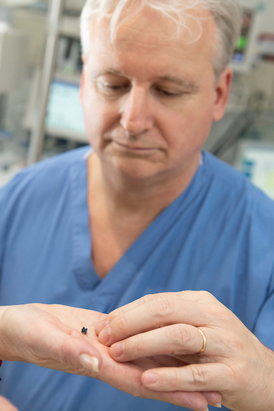 Professor Alain Fraisse, consultant paediatric cardiologist, examining the small device inserted into a baby’s heart to stop a leak