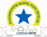 Preceptorship quality mark 