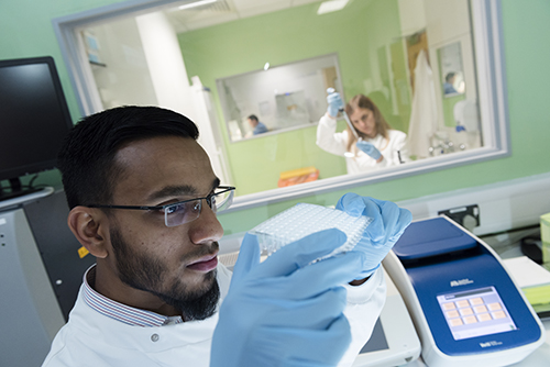 Researcher looking at samples