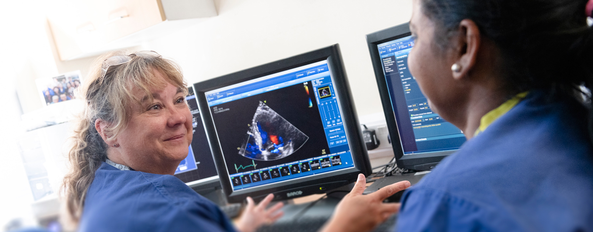 Nurses discussing scans on computer screens