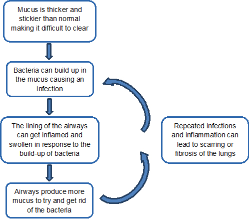 Assessing CF mucus