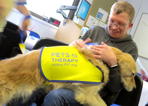 Pets at Therapy dog with patient