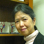 Professor S Yen Ho