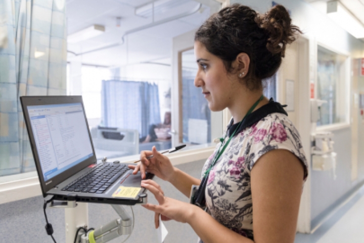 Staff on a computer 