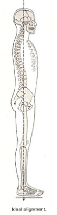 Skeletal posture image